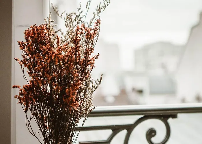 酒店 巴那斯山峰家园酒店