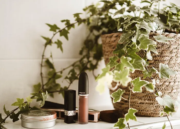 酒店 巴那斯山峰家园酒店 2*